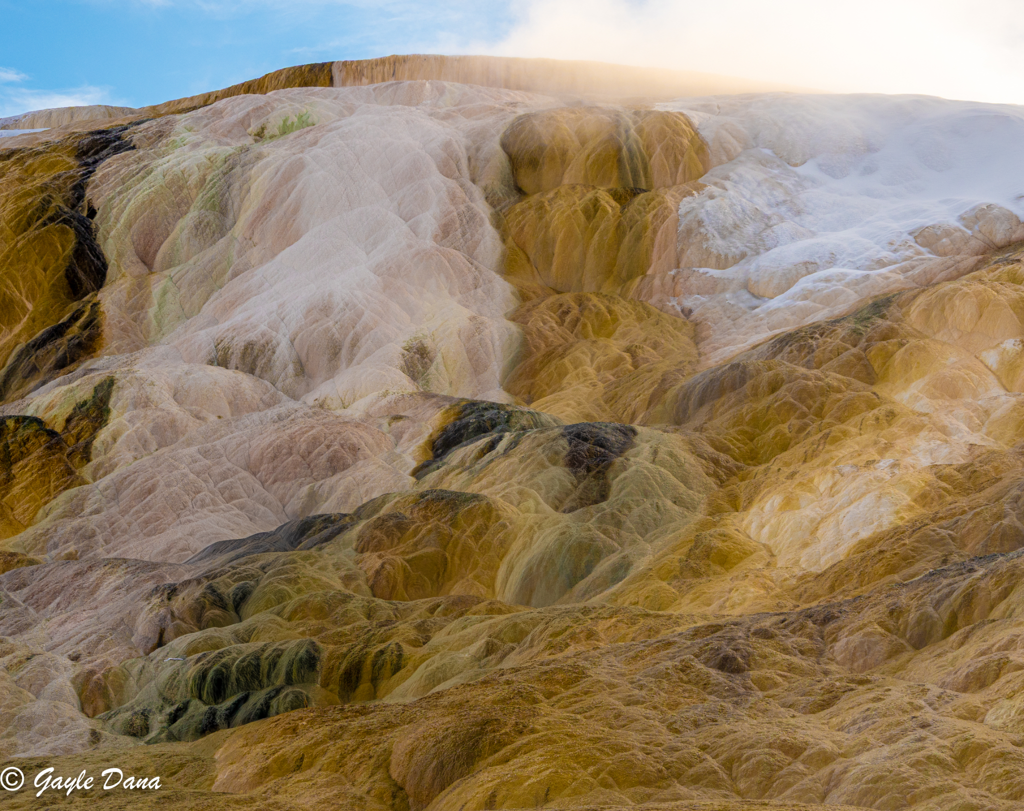 Mammoth Hot Spring Terraces